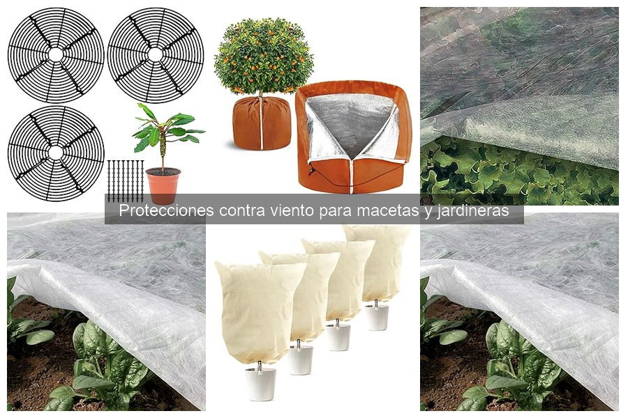 Cuidados y Mantenimiento de Protecciones para Macetas