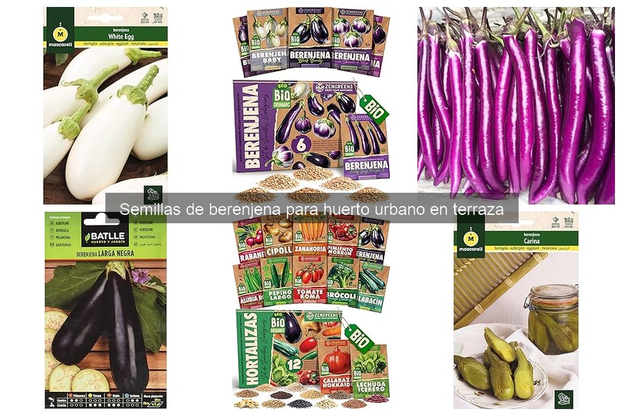 Cultivar berenjenas en espacios pequeños: Ideas y técnicas