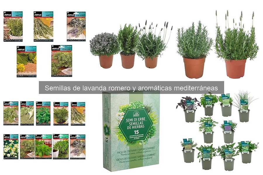 Cultivar hierbas aromáticas en casa: Beneficios y razones