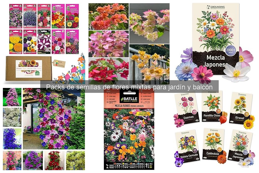 Descubre qué son los packs de semillas de flores mixtas
