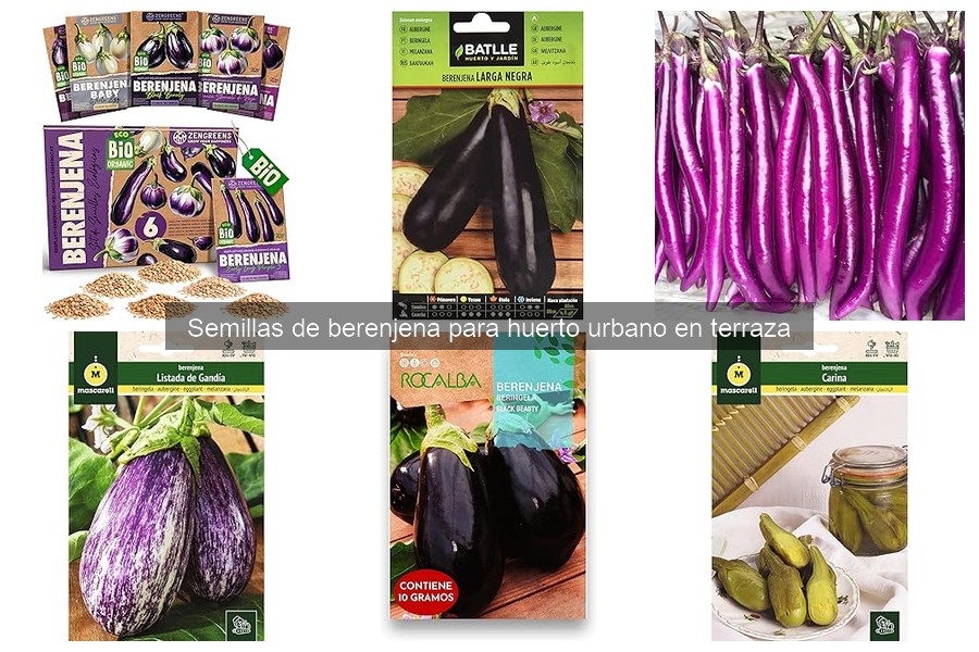 Desmitificando mitos sobre semillas de berenjena en el huerto
