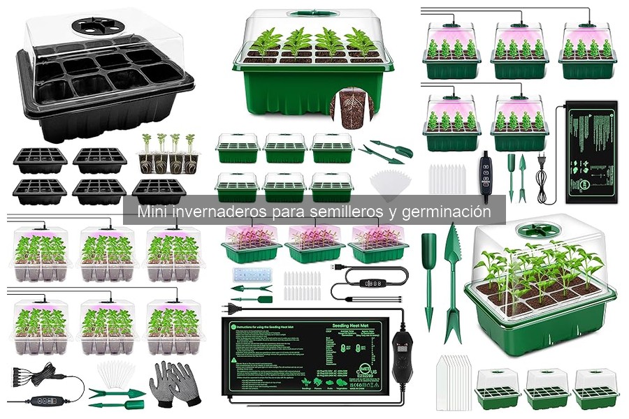 ** Diferencias entre mini invernaderos de plástico y vidrio