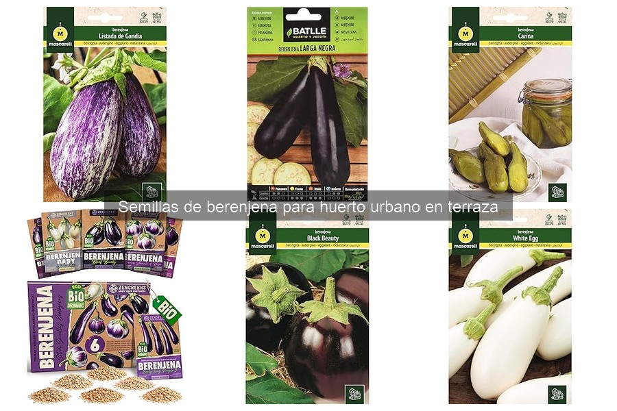 Diferencias entre semillas de berenjena morada y blanca