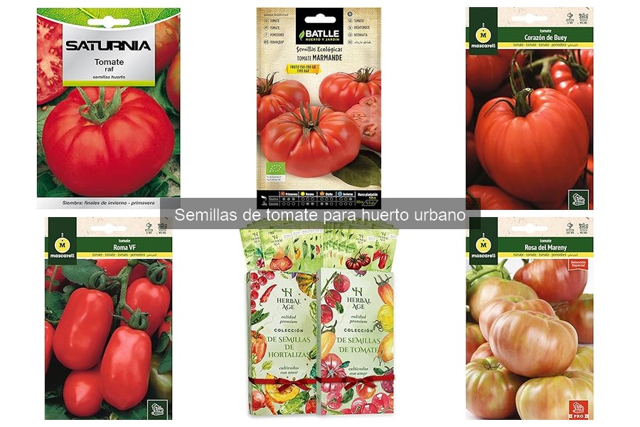 Diferencias entre semillas de tomate indeterminado y determinado