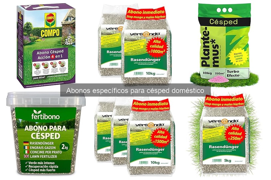 Dónde Comprar Abono para Césped a Buen Precio