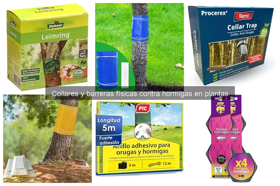 Dónde comprar collares y barreras para hormigas en plantas