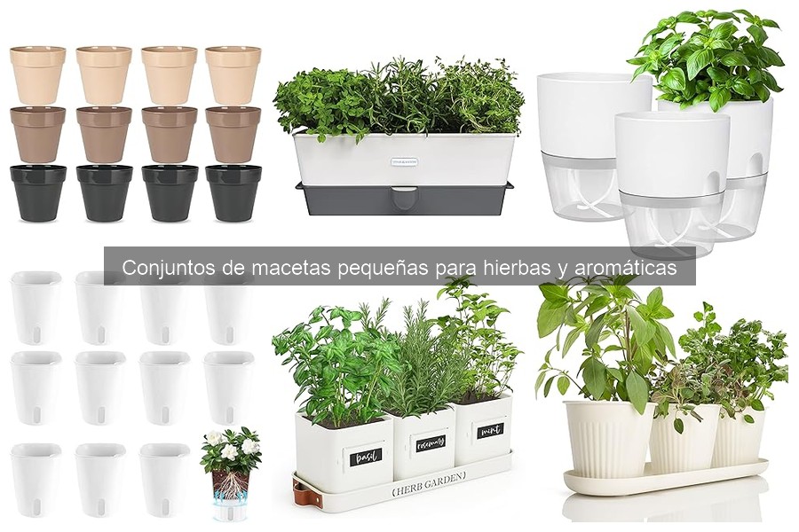 Dónde comprar conjuntos de macetas pequeñas para hierbas