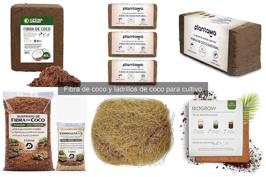 Dónde comprar fibra de coco y ladrillos de coco para cultivo