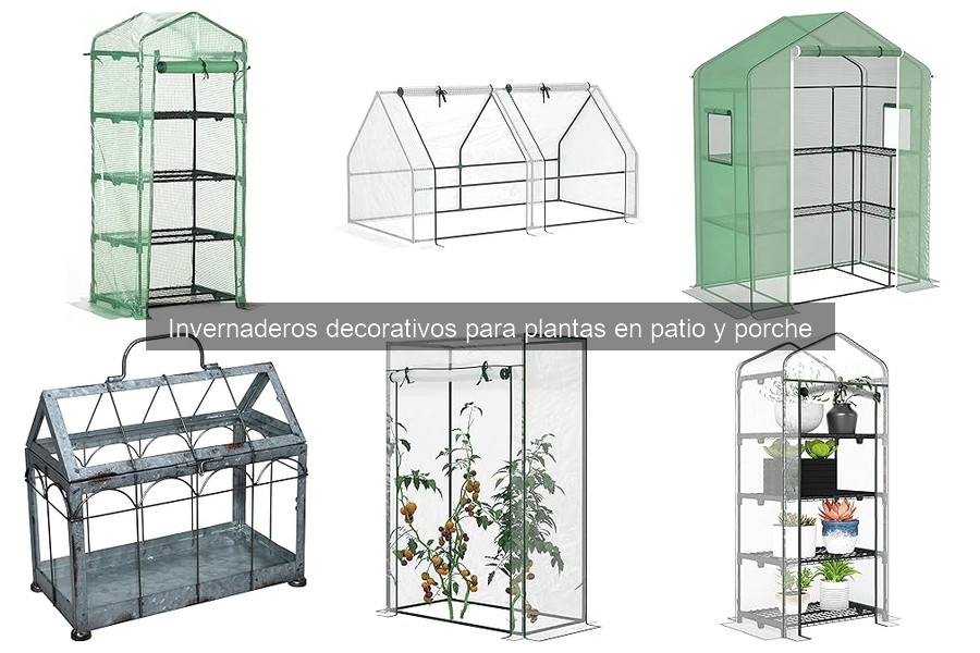 Dónde comprar invernaderos decorativos online y precios