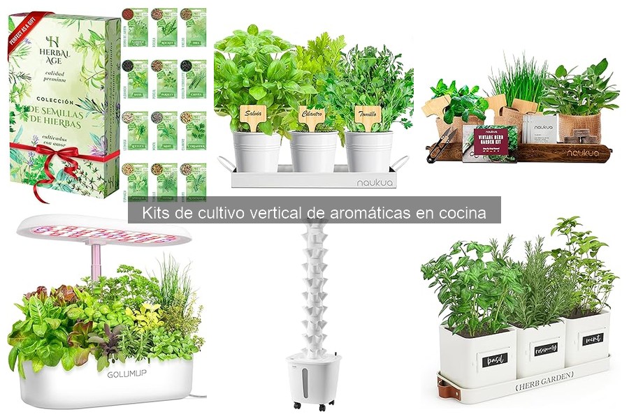 Dónde Comprar Kits de Cultivo Vertical de Aromáticas