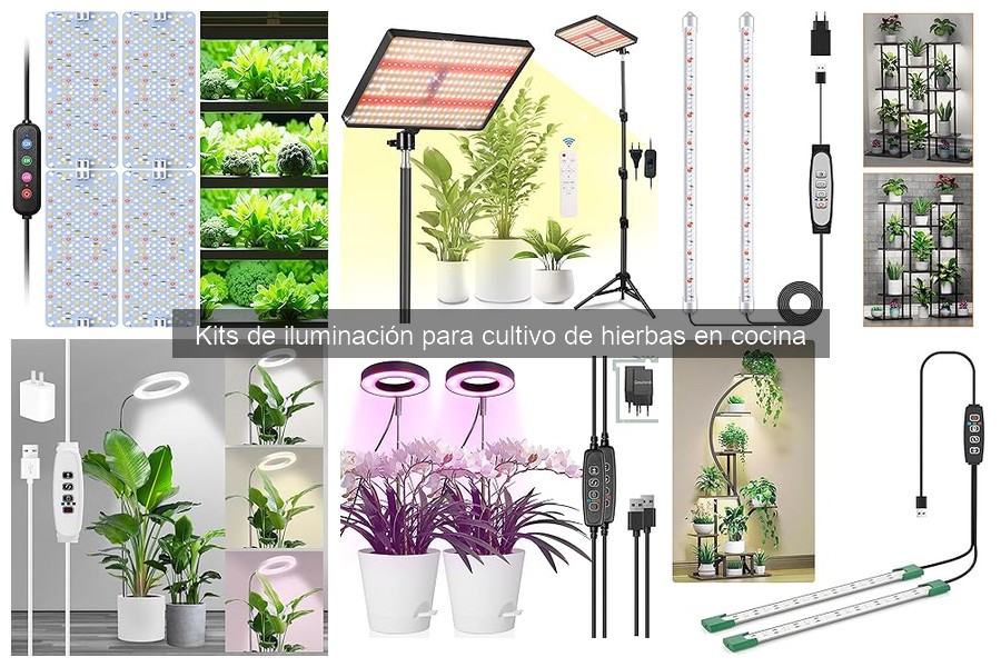 Dónde comprar kits de iluminación para cultivo de hierbas