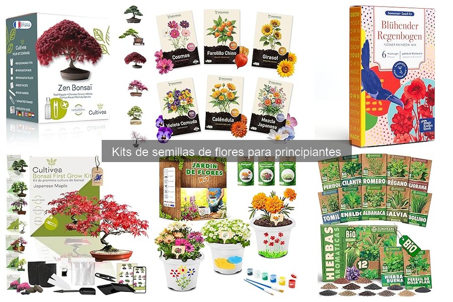 Dónde comprar kits de semillas de flores para principiantes