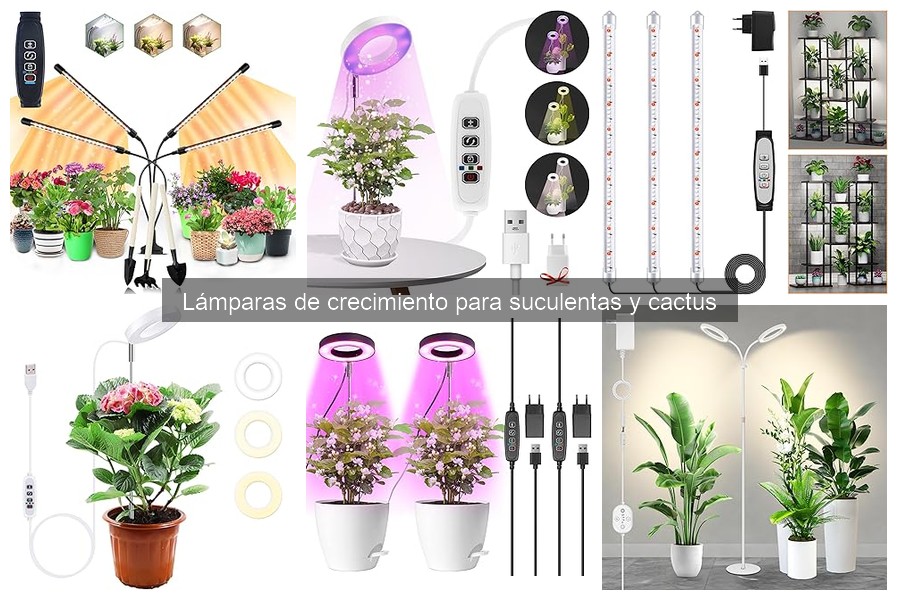 Dónde comprar lámparas de crecimiento para suculentas y cactus
