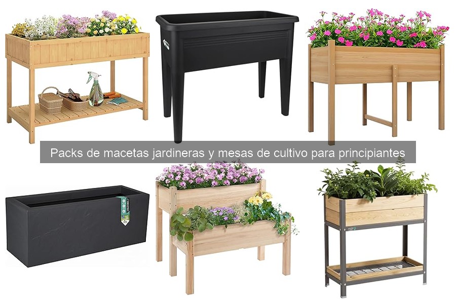 ** Dónde comprar packs de macetas y mesas de cultivo para principiantes