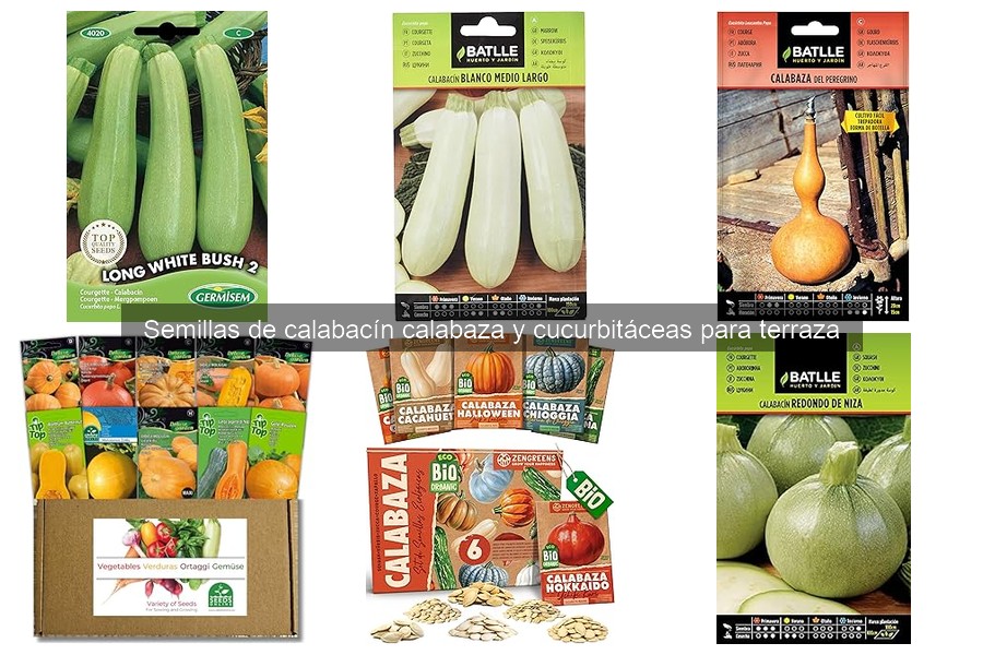 Dónde comprar semillas de calabacín y calabaza en línea