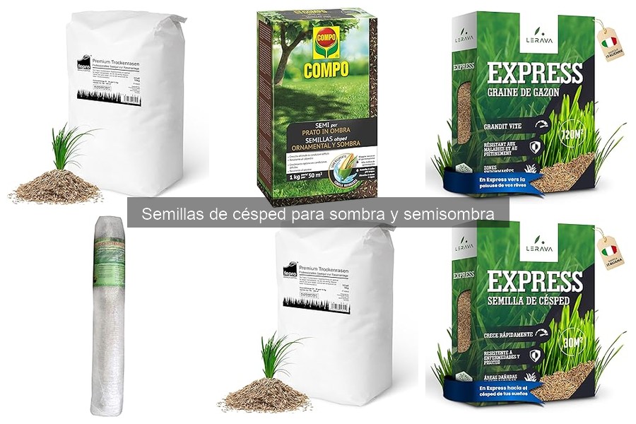 Dónde comprar semillas de césped para sombra online
