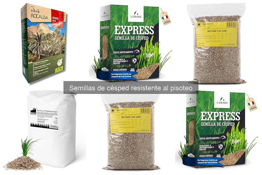 Dónde comprar semillas de césped resistente al pisoteo