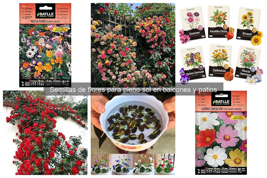 Dónde comprar semillas de flores a buen precio online y en tienda