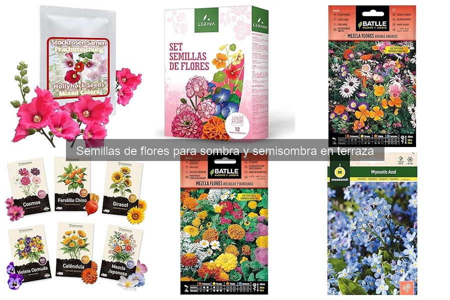 Dónde comprar semillas de flores para sombra y semisombra