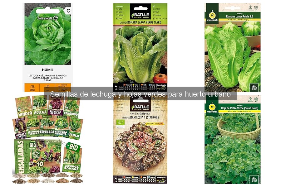 Dónde comprar semillas de lechuga online - Mejores opciones