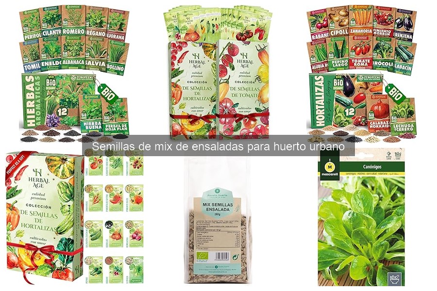 Dónde comprar semillas de mix de ensaladas de calidad
