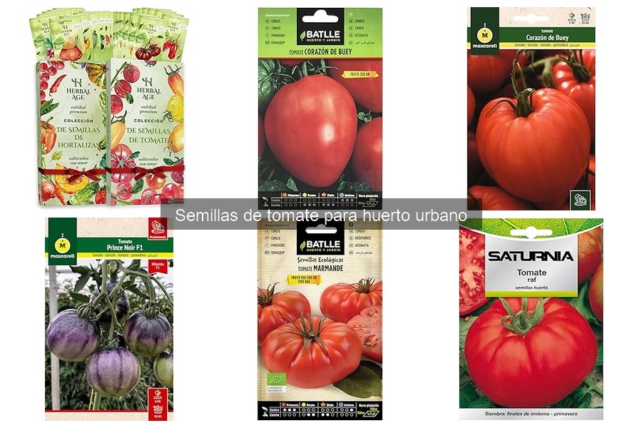 Dónde comprar semillas de tomate de calidad para huertos urbanos