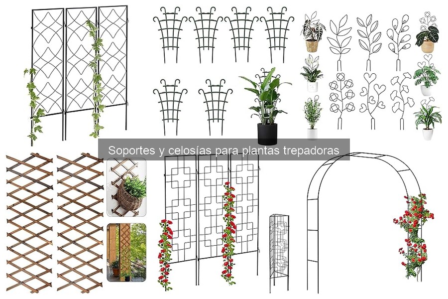 Dónde comprar soportes y celosías para plantas trepadoras