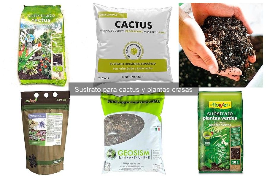Dónde comprar sustrato para cactus a buen precio