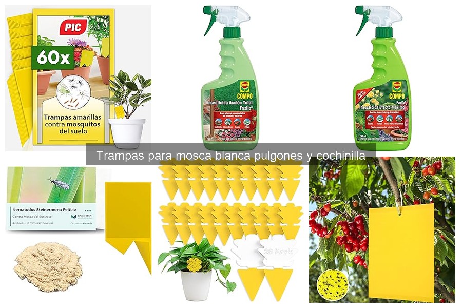 Dónde comprar trampas para mosca blanca online y mejores ofertas