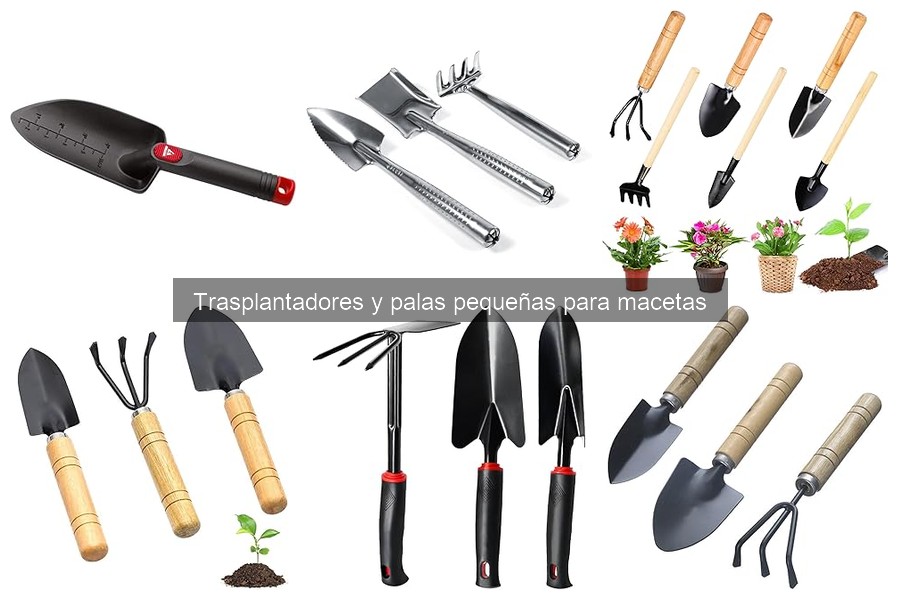 Dónde comprar trasplantadores de calidad para macetas