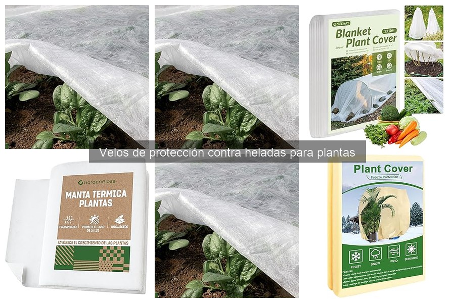 Dónde comprar velos de protección contra heladas para plantas