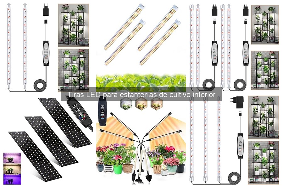 Efecto de longitud y potencia en tiras LED para cultivo