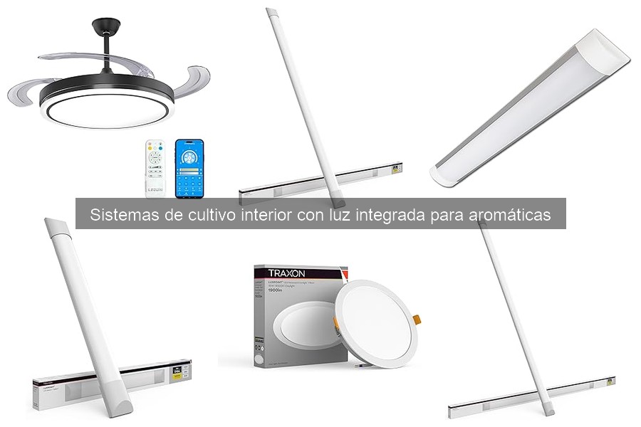 Efectos de la luz artificial en plantas aromáticas