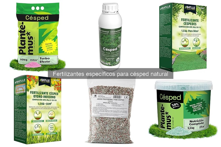 Efectos de la Sobre-fertilización en el Césped Natural