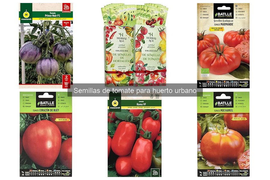 Efectos del clima en el crecimiento de semillas de tomate
