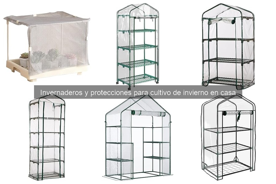 Efectos del clima en invernaderos: guía para cultivos en casa