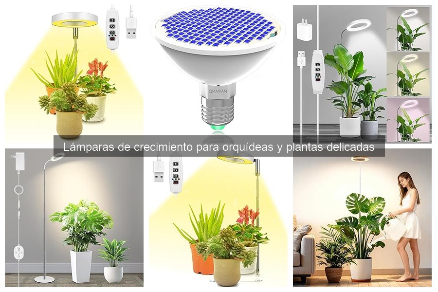 El mejor espectro de luz para tu orquídea