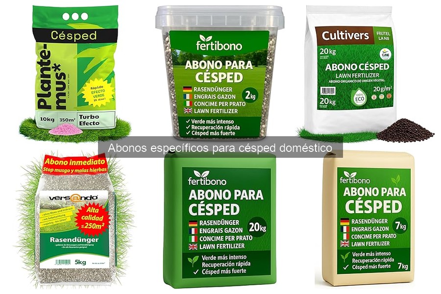 El Mejor Momento para Abonar el Césped: Guía Práctica