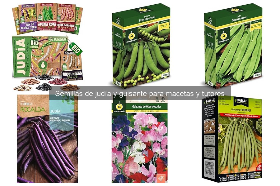 El Mejor Tutor para Judías y Guisantes en Macetas