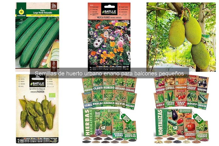 Errores a evitar al plantar semillas en balcones pequeños