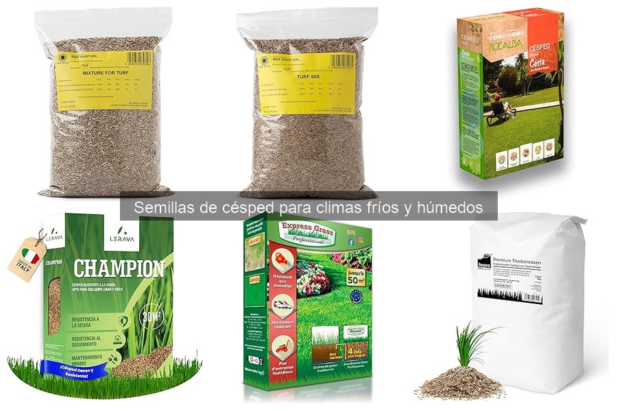 Errores al Elegir Semillas de Césped para Climas Fríos