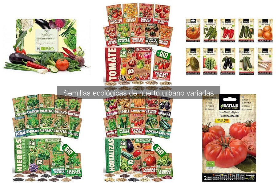 Errores comunes al comprar semillas ecológicas para tu huerto