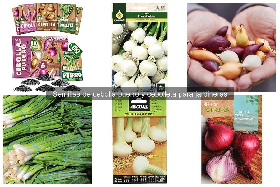 Errores comunes al cultivar cebolla puerro y cebolleta