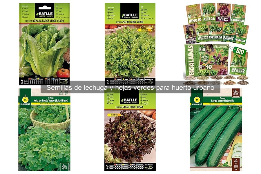 Errores comunes al cultivar lechuga y hojas verdes