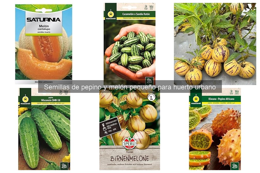 Errores comunes al cultivar semillas de pepino y melón