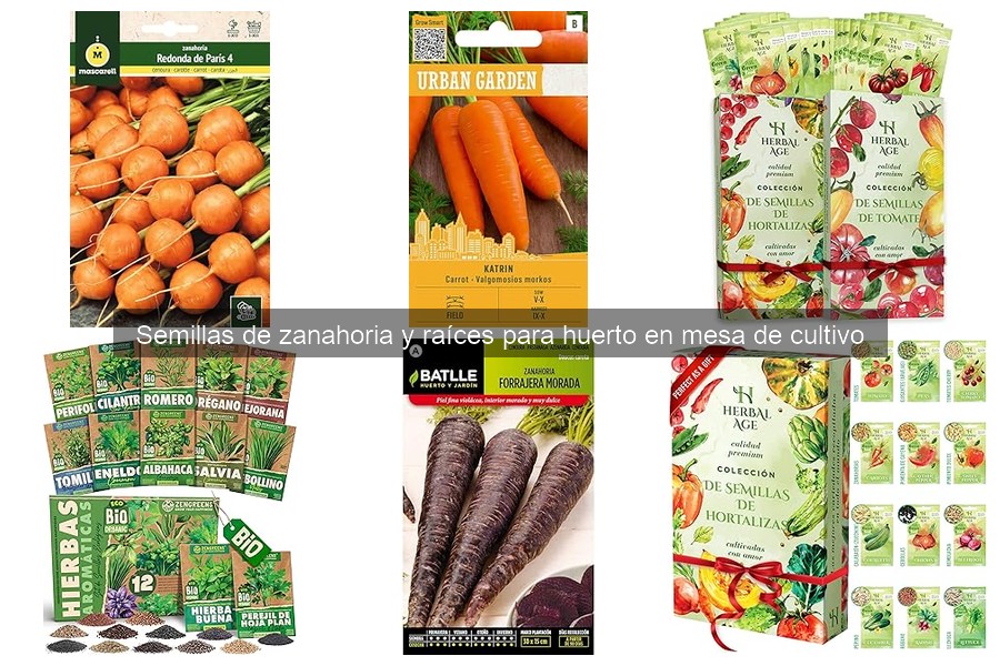 Errores comunes al cultivar zanahorias y cómo evitarlos