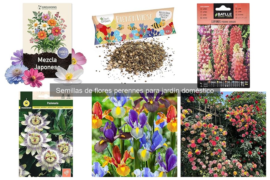 Errores comunes al elegir flores perennes en climas cálidos