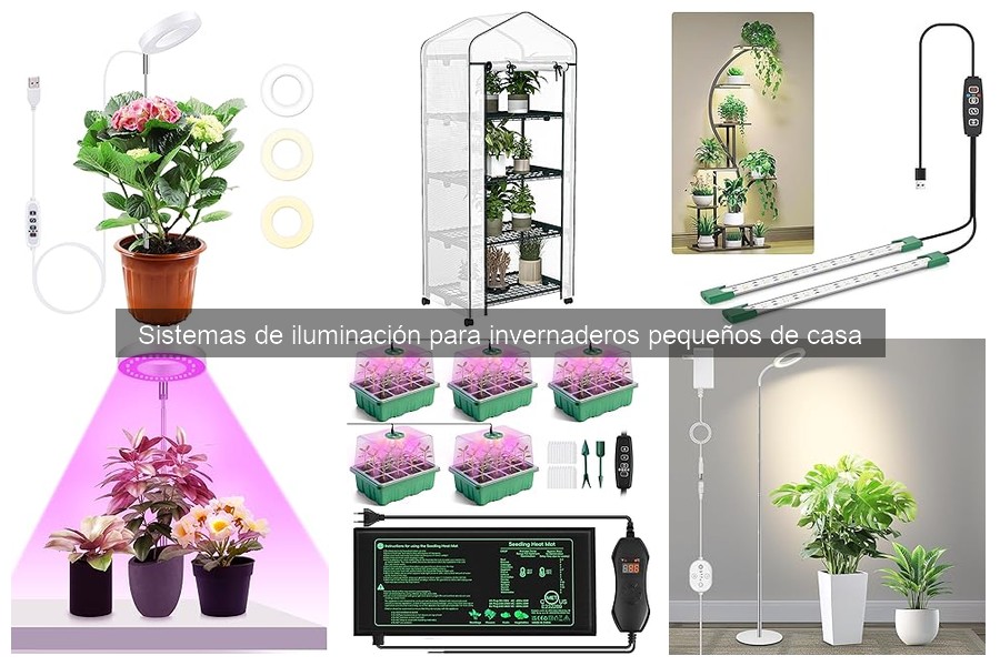 Errores comunes al elegir iluminación para invernaderos pequeños