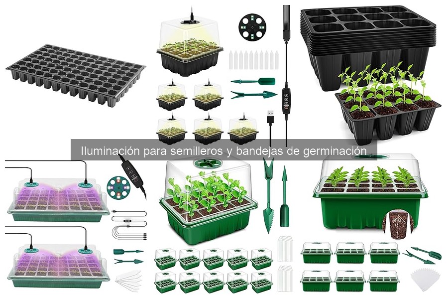 Errores comunes al elegir iluminación para semilleros