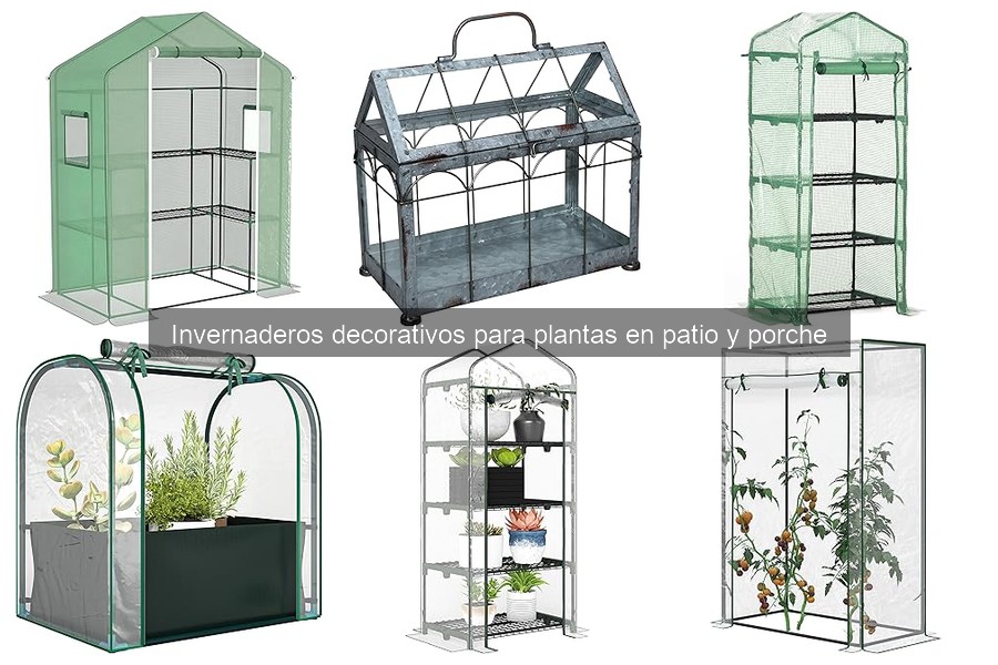 Errores comunes al elegir invernaderos decorativos